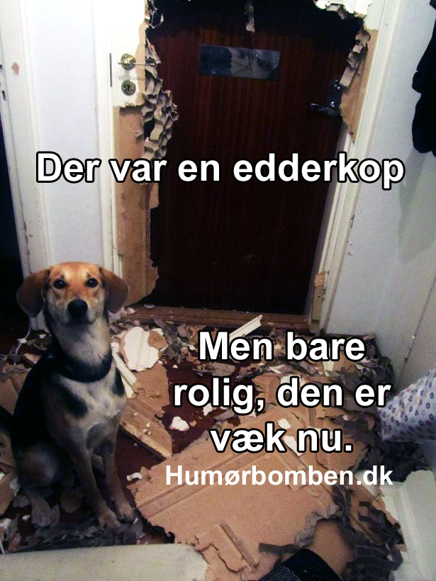 Der var en eddwerkop