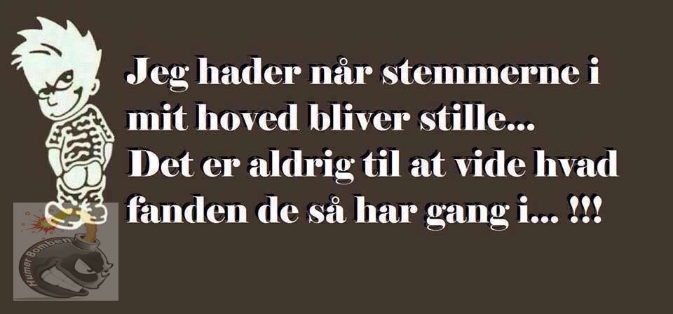 Jeg hader når stemmerne i mit hoved bliver stille
