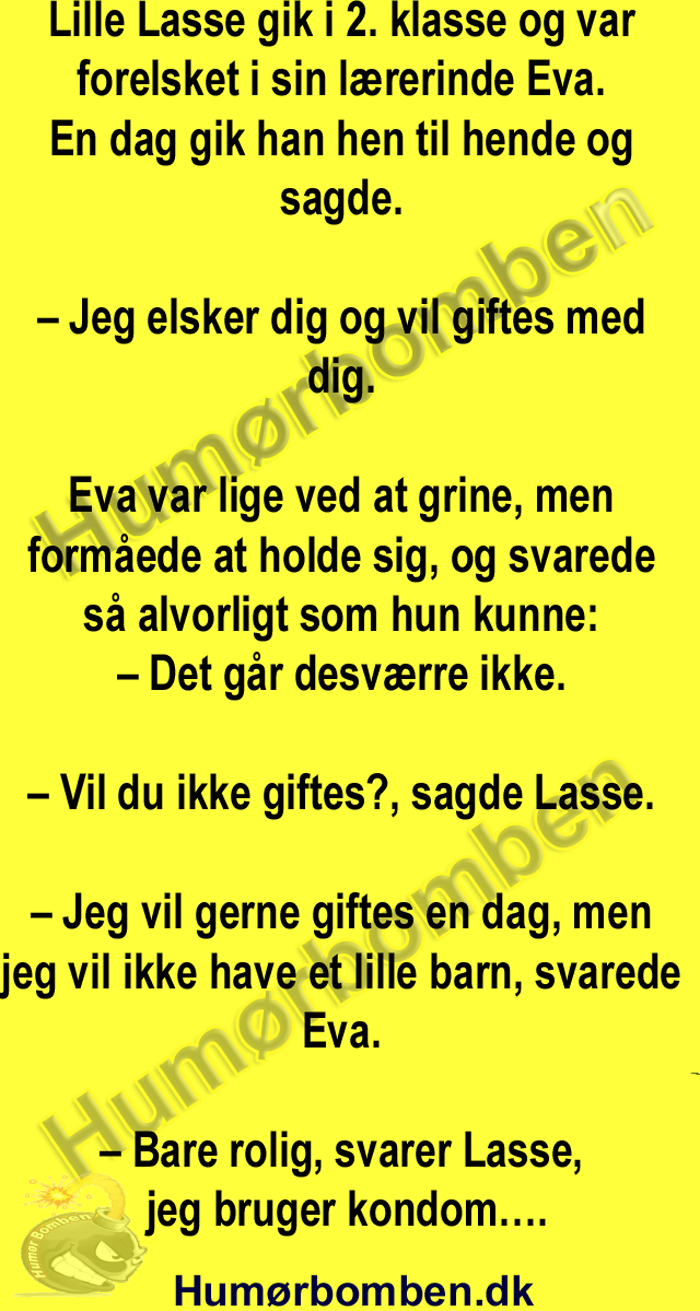 Lille Lasse gik i 2. klasse 0