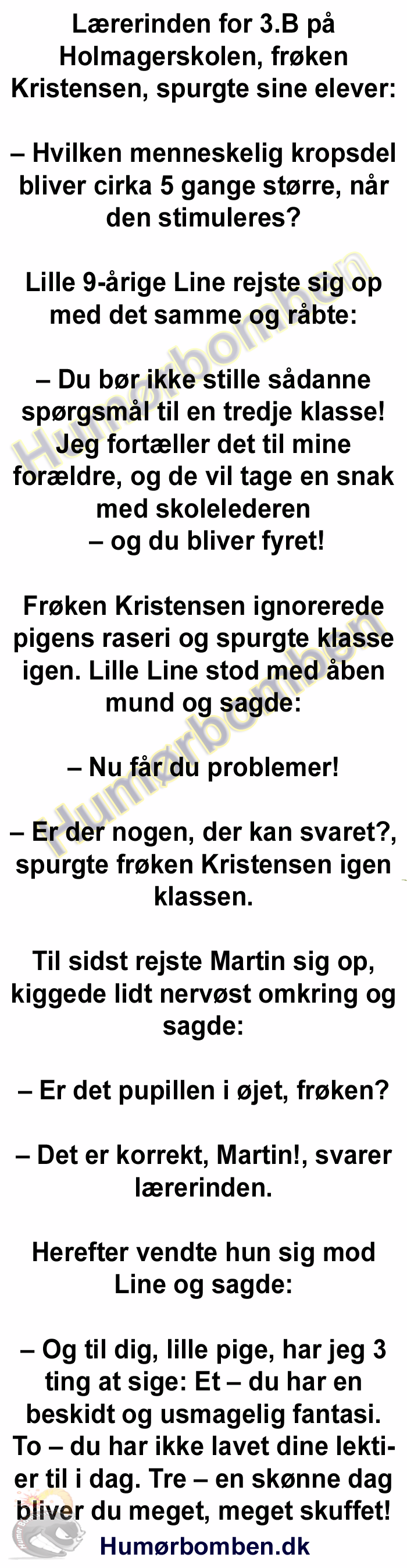 Lærerinden for 3.B på Holmagerskolen