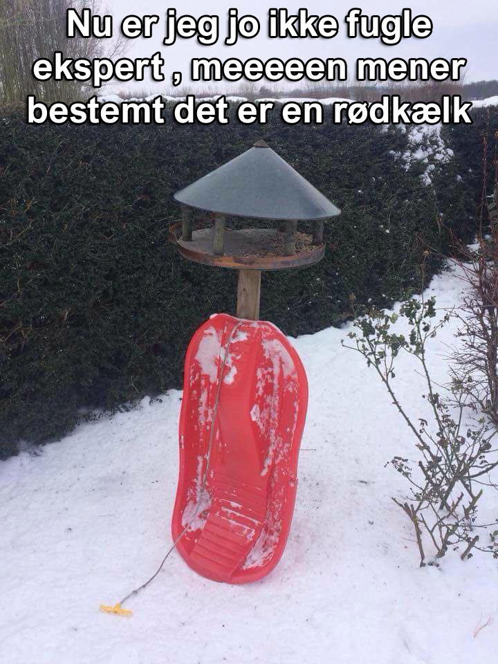 Rødkælk