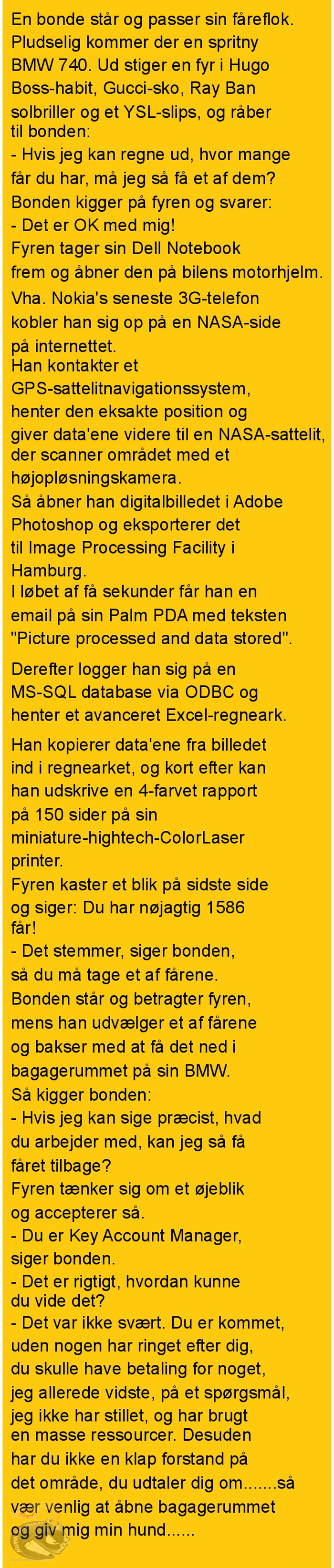 En bonde står og passer sin fåreflok