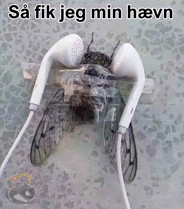 Så fik jeg min hævn