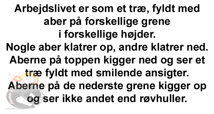 Arbejdslivet er som et træ