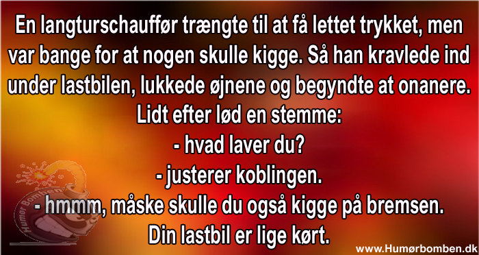 En langturschauffør trængte til at få lettet trykket
