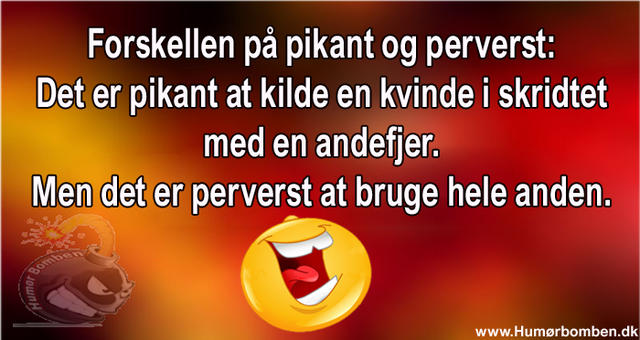 Forskellen på pikant og perverst
