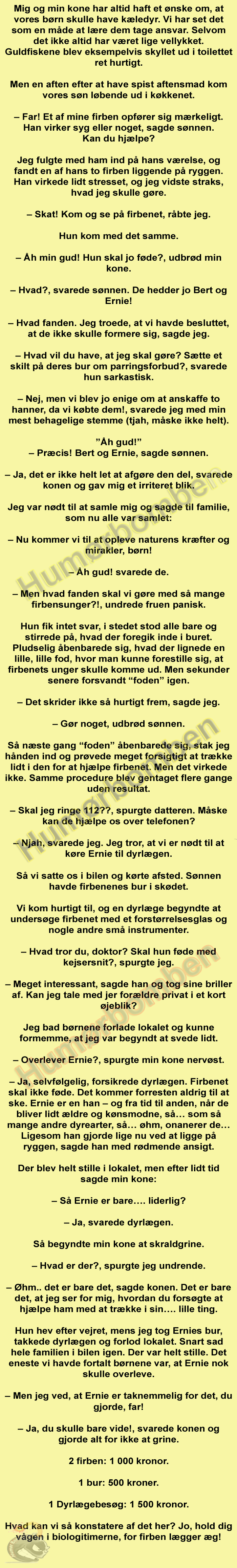 Mig og min kone har altid haft et ønske om, at vores børn skulle have kæledyr