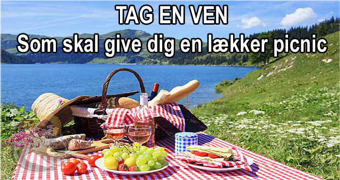 TAG EN VEN – som skal give dig en lækker picnic