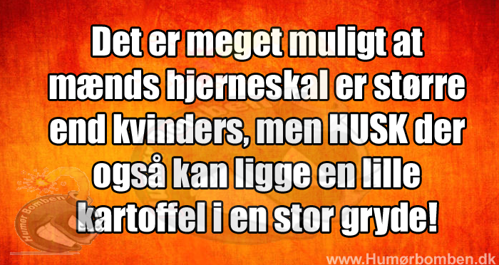 Det er meget muligt at mænds hjerneskal er større end kvinders