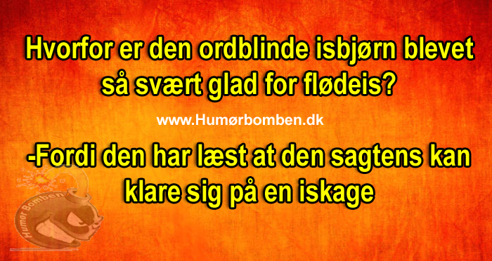 Hvorfor er den ordblinde isbjørn blevet så svært glad for flødeis