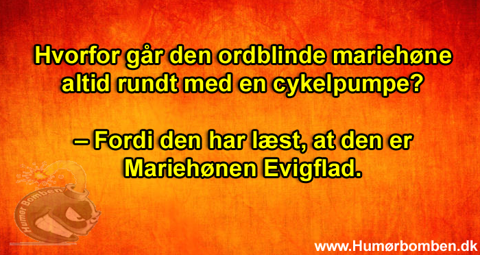 Hvorfor går den ordblinde mariehøne altid rundt med en cykelpumpe