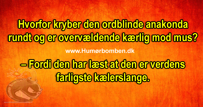 Hvorfor kryber den ordblinde anakonda rundt og er overvældende kærlig mod mus