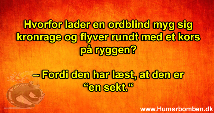Hvorfor lader en ordblind myg sig kronrage og flyver rundt med et kors på ryggen