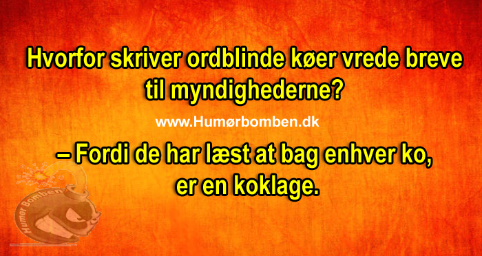 Hvorfor skriver ordblinde køer vrede breve til myndighederne