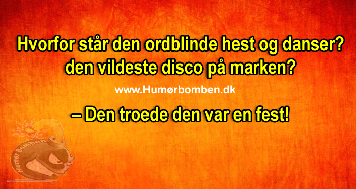 Hvorfor står den ordblinde hest og danser den vildeste disco på marken