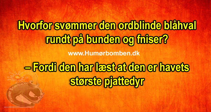 Hvorfor svømmer den ordblinde blåhval rundt på bunden og fniser