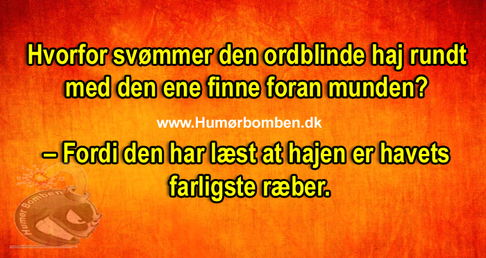 Hvorfor svømmer den ordblinde haj rundt med den ene finne foran munden