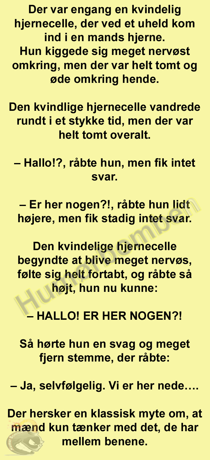 Der var engang en kvindelig hjernecelle