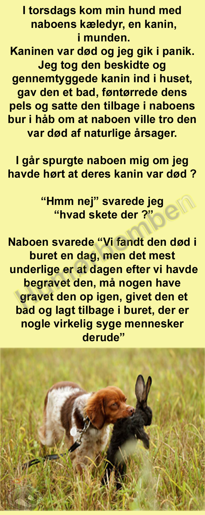 I torsdags kom min hund med naboens kæledyr i munden