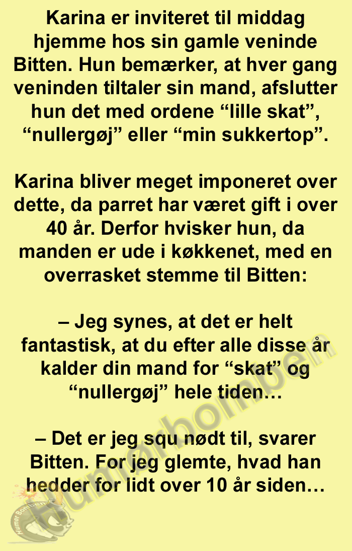 Karina er inviteret til middag hjemme hos sin gamle veninde