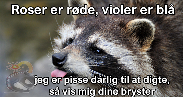 Roser er røde violer er blå