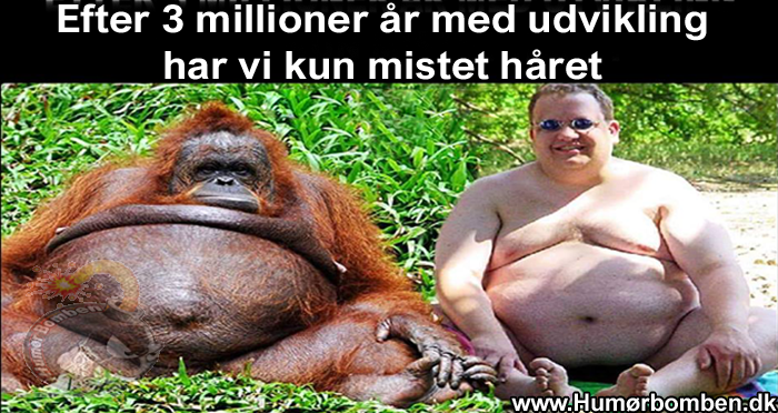 Efter 3 millioner år med udvikling