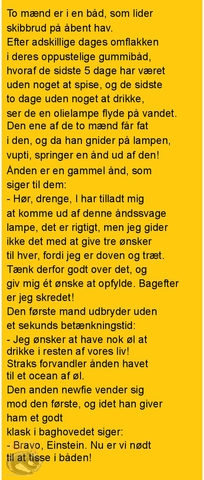 To mænd er i en båd