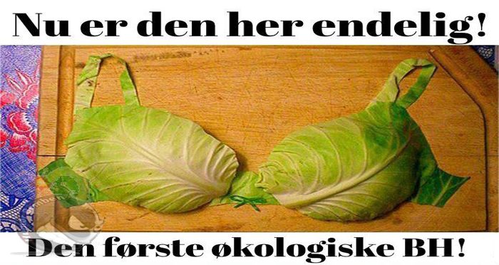 Den første økologiske BH