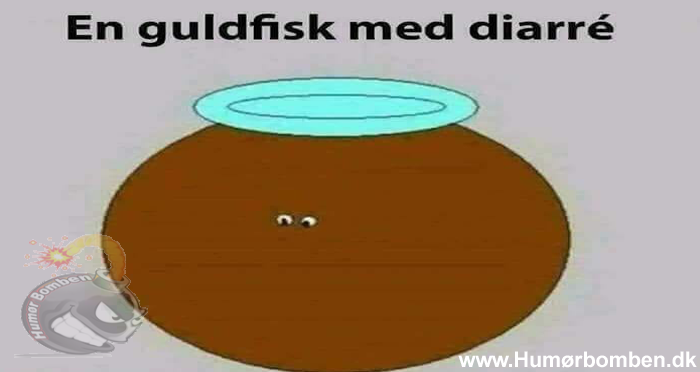 En guldfisk med diarre