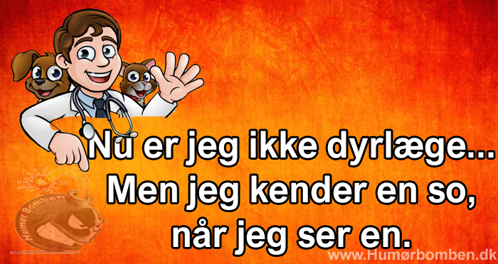 Nu er jeg ikke dyrlæge