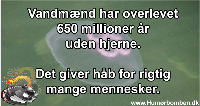 Vandmænd har overlevet 650 millioner år