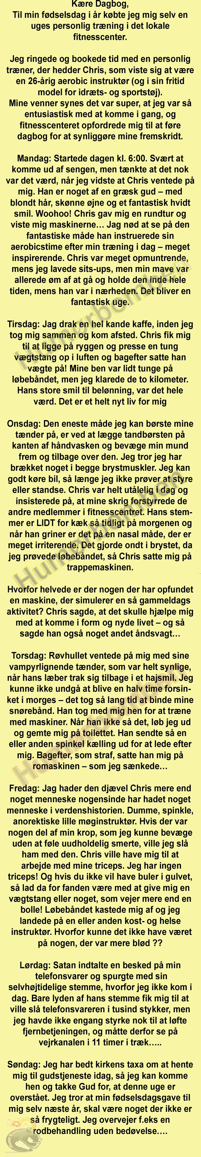 Kære Dagbog