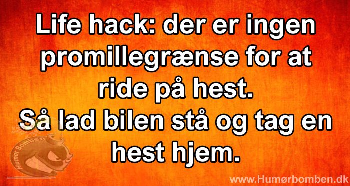 Lad bilen stå, tag en hest hjem