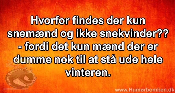 Hvorfor findes der kun snemænd og ikke snekvinder