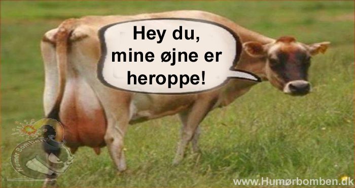 Hey du, mine øjne er heroppe!