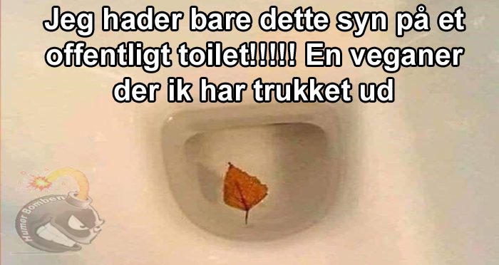 Jeg hader bare dette syn