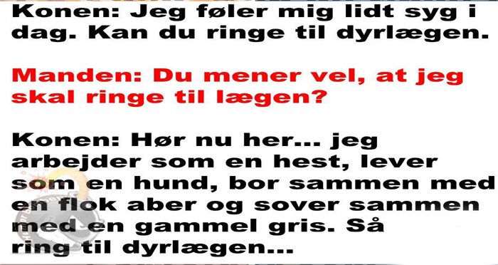 Ring til dyrlægen