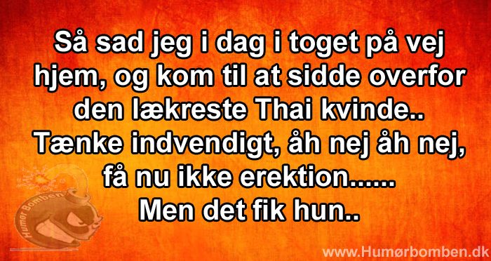 Så sad jeg i dag i toget på vej hjem