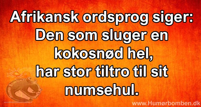 Afrikansk ordsprog siger