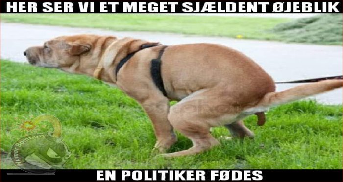 En politiker fødes