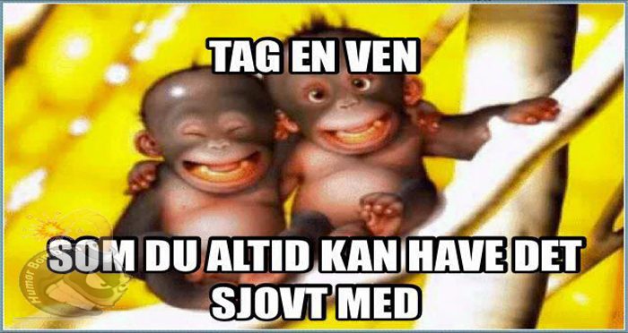 TAG en du har det sjovt med