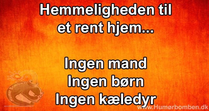 Hemmeligheden til et rent hjem