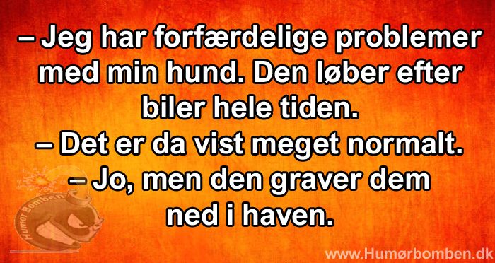 Jeg har forfærdelige problemer med min hund