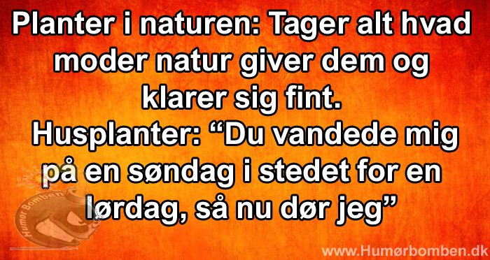 Planter i naturen