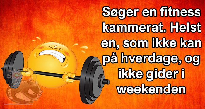 Søger en fitness kammerat