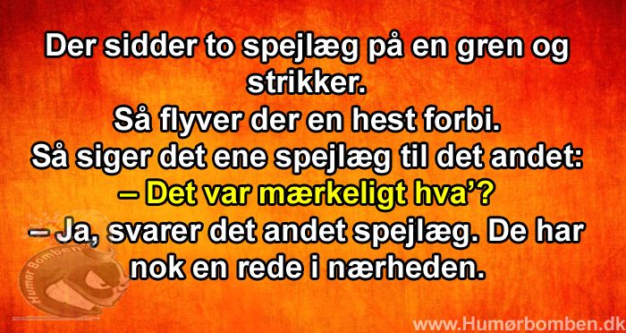 Der sidder to spejlæg på en gren og strikker