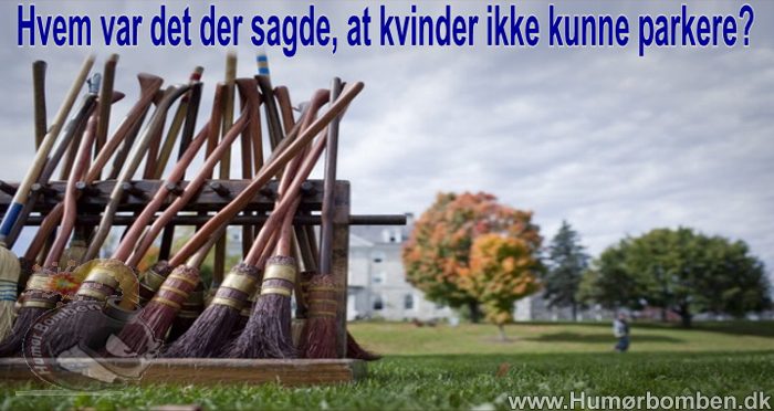 Hvem var det der sagde kvinder kunne ikke kan parkerer