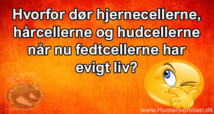 Hvorfor dør hjernecellerne