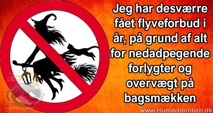 Jeg har desværre fået flyveforbud i år
