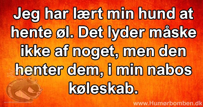 Jeg har lært min hund at hente øl
